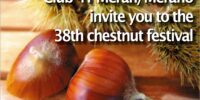 Chestnut Festival 2022 Friday 11. – 13.11.2022