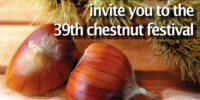 Club 41 Merano Chestnut Festival 2023